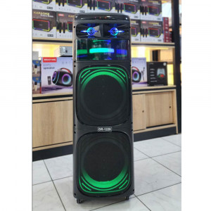 Speaker Karaoke 1229  2MIC RGB/BT/USB/TF CARD/FM RADIO/4500mAh/BLACK