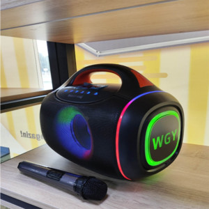 Speaker Karaoke 4402  2MIC