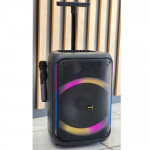 Speaker Karaoke 2432  2MIC