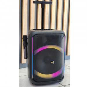 Speaker Karaoke 2432  2MIC