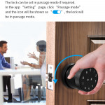 Smart Fingerprint lock YH-D6 Black YOUHE Finger, password, Card, Key, App