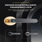 Smart Fingerprint lock YH-A9 Black YOUHE Finger, Password, Key