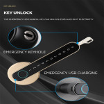 Smart Fingerprint lock YH-A9 Black YOUHE Finger, Password, Key