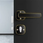 Smart Fingerprint lock YH-H160 Black YOUHE Finger, Password, Key