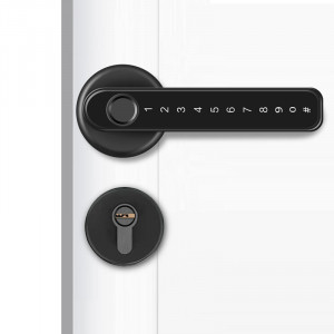 Smart  Fingerprint lock YH-T6 Black YOUHE Finger/Password/Key