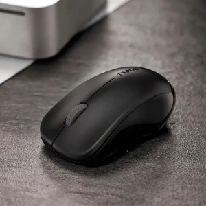 Mouse RAPOO 1620  WIRELES\BLACK