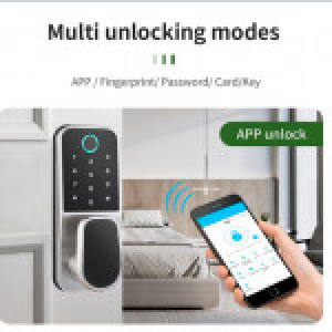 Smart  Fingerprint lock YH-F009 Silver YOUHE Finger, Password, Card, APP, Key