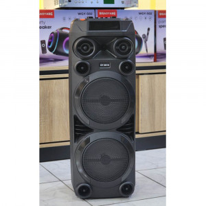 Speaker Karaoke 8810  2MIC